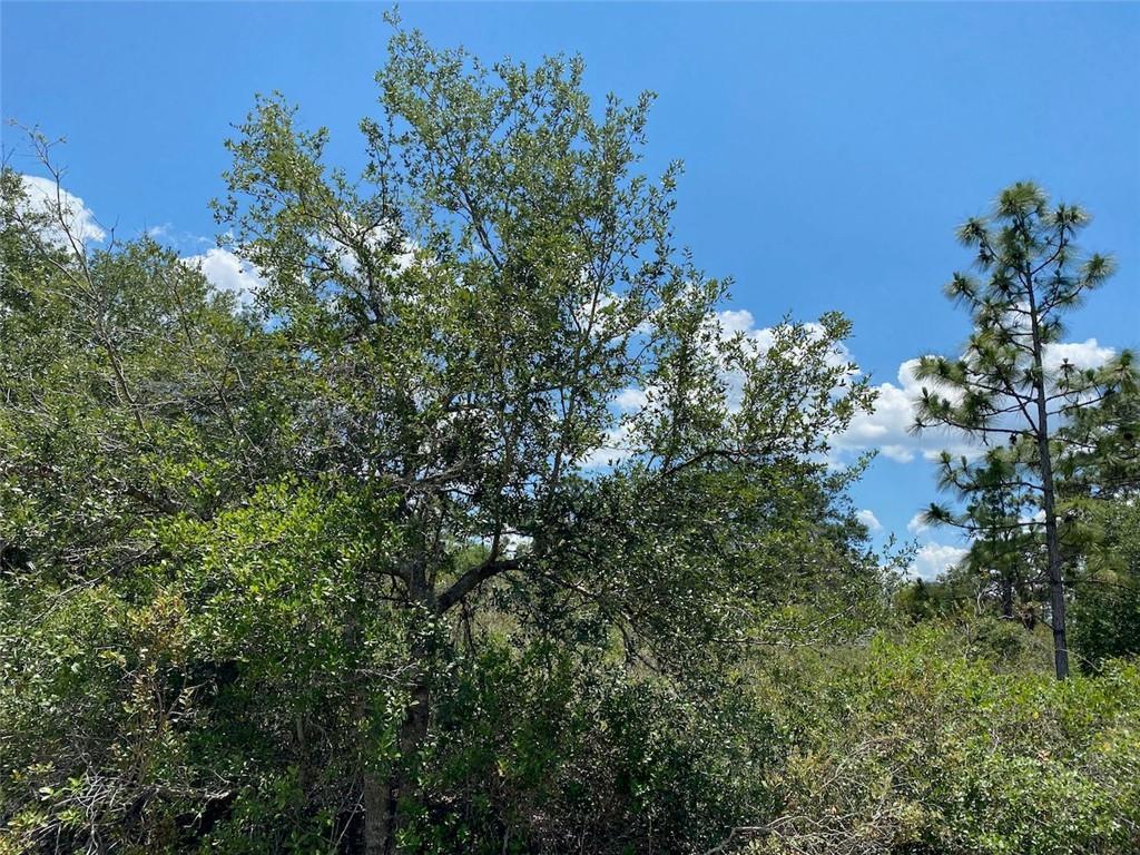   / 0  sq. ft. $ 2026-06-19 0 foto