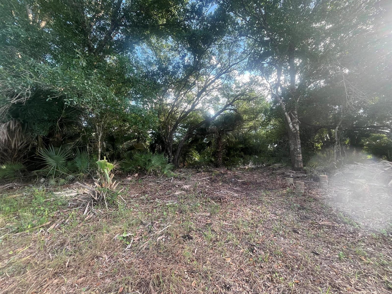 Ver detalles / 0 sq. ft. $ 2025-08-08 0 foto