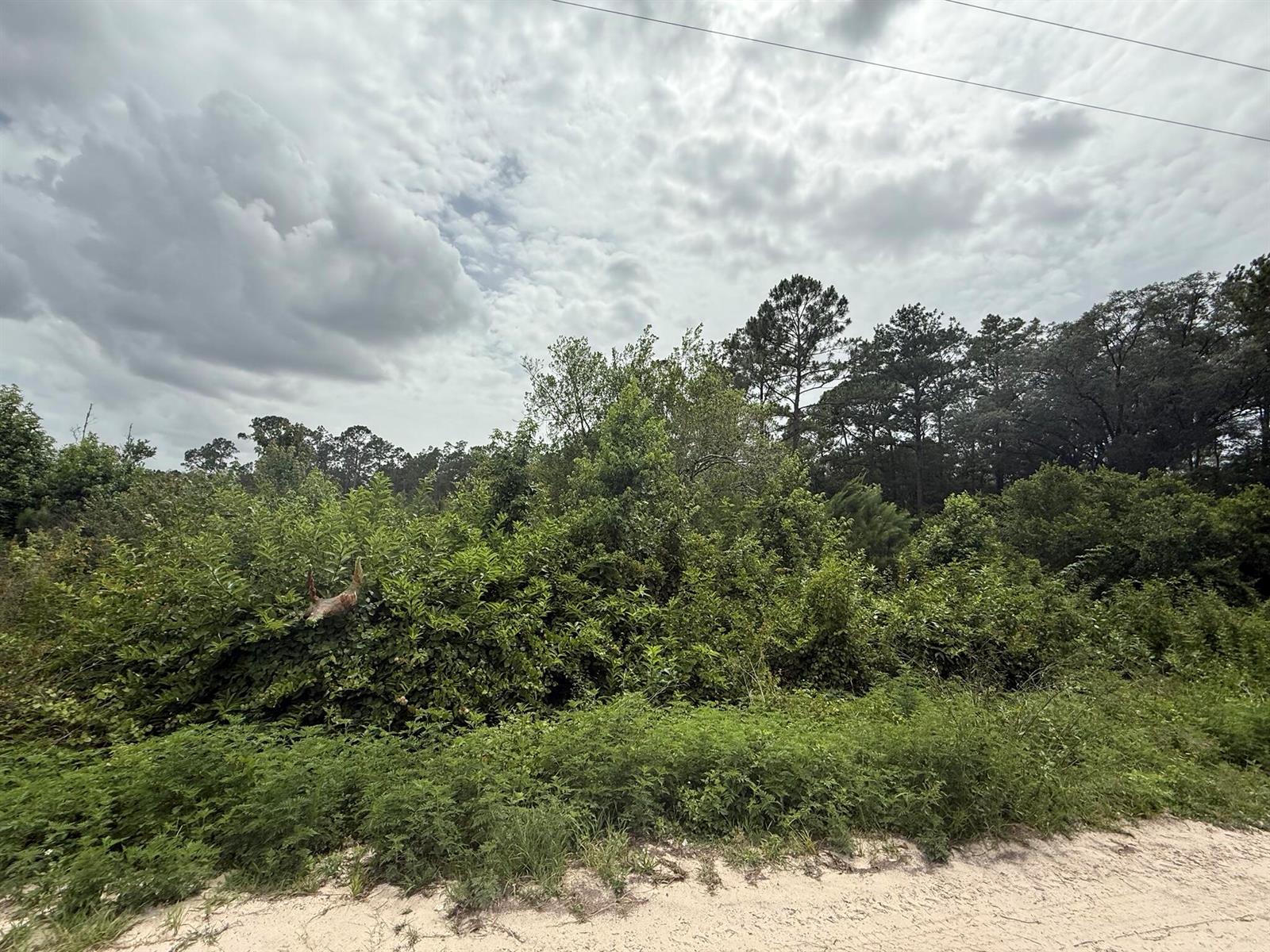   / 0  sq. ft. $ 2026-06-01 0 foto