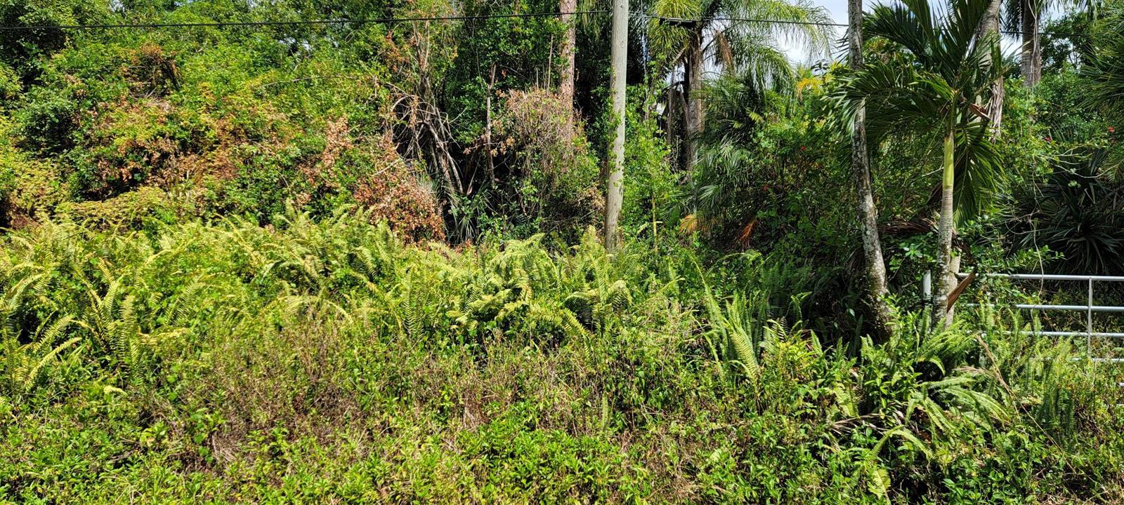 Ver detalles / 0 sq. ft. $ 2026-06-03 0 foto