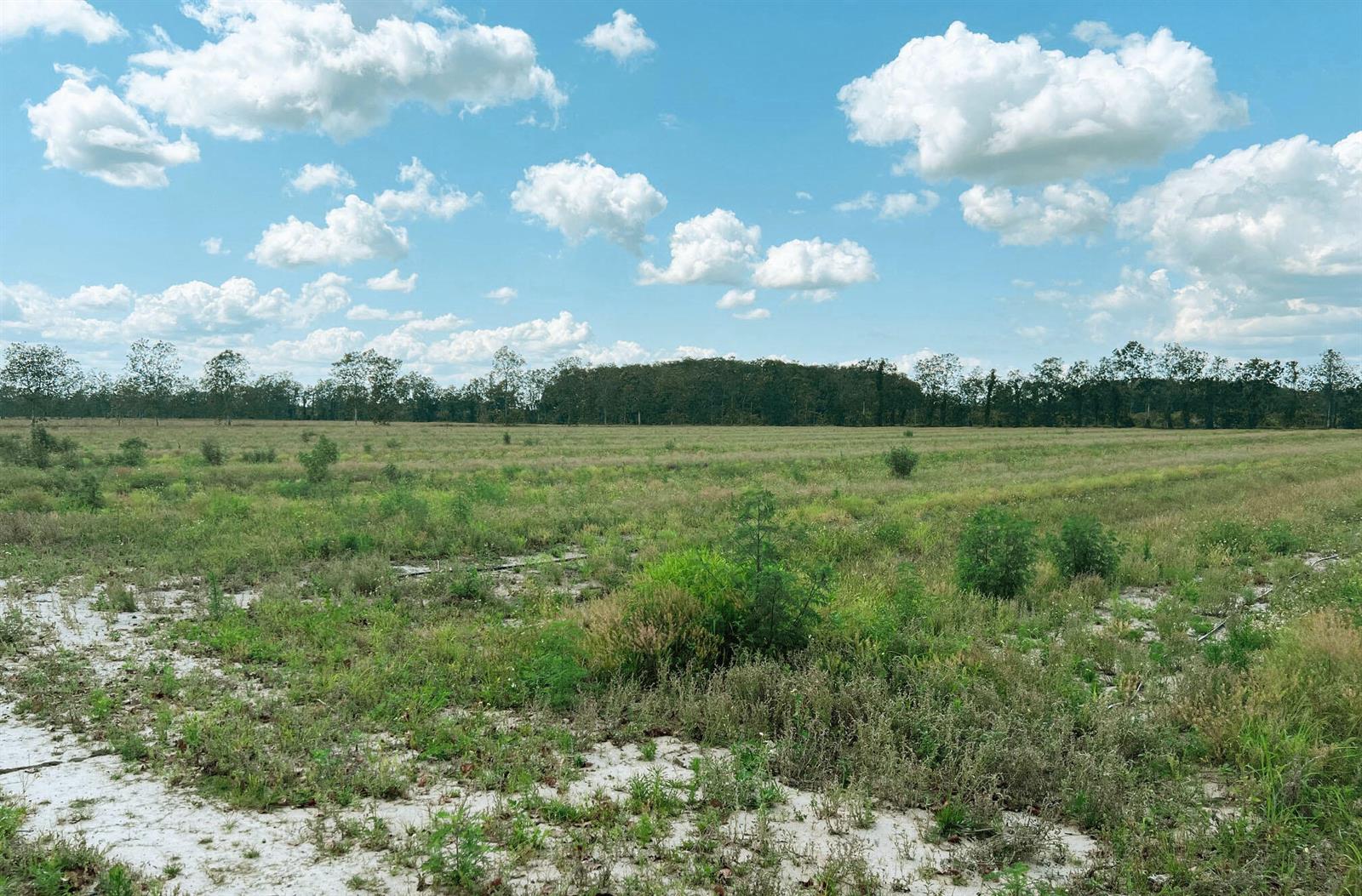   / 0  sq. ft. $ 2026-06-13 0 Photo