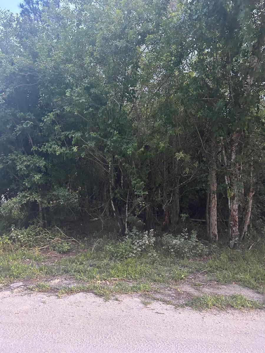 See details / 0 sq. ft. $ 2026-06-19 0 Photo