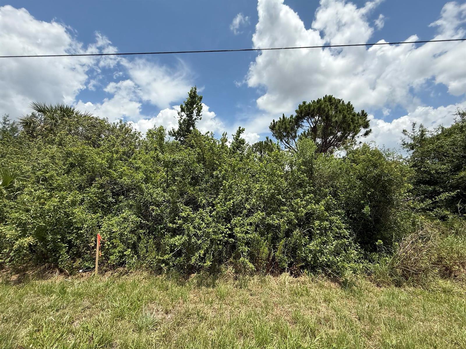 See details / 0 sq. ft. $ 2025-11-14 0 Photo