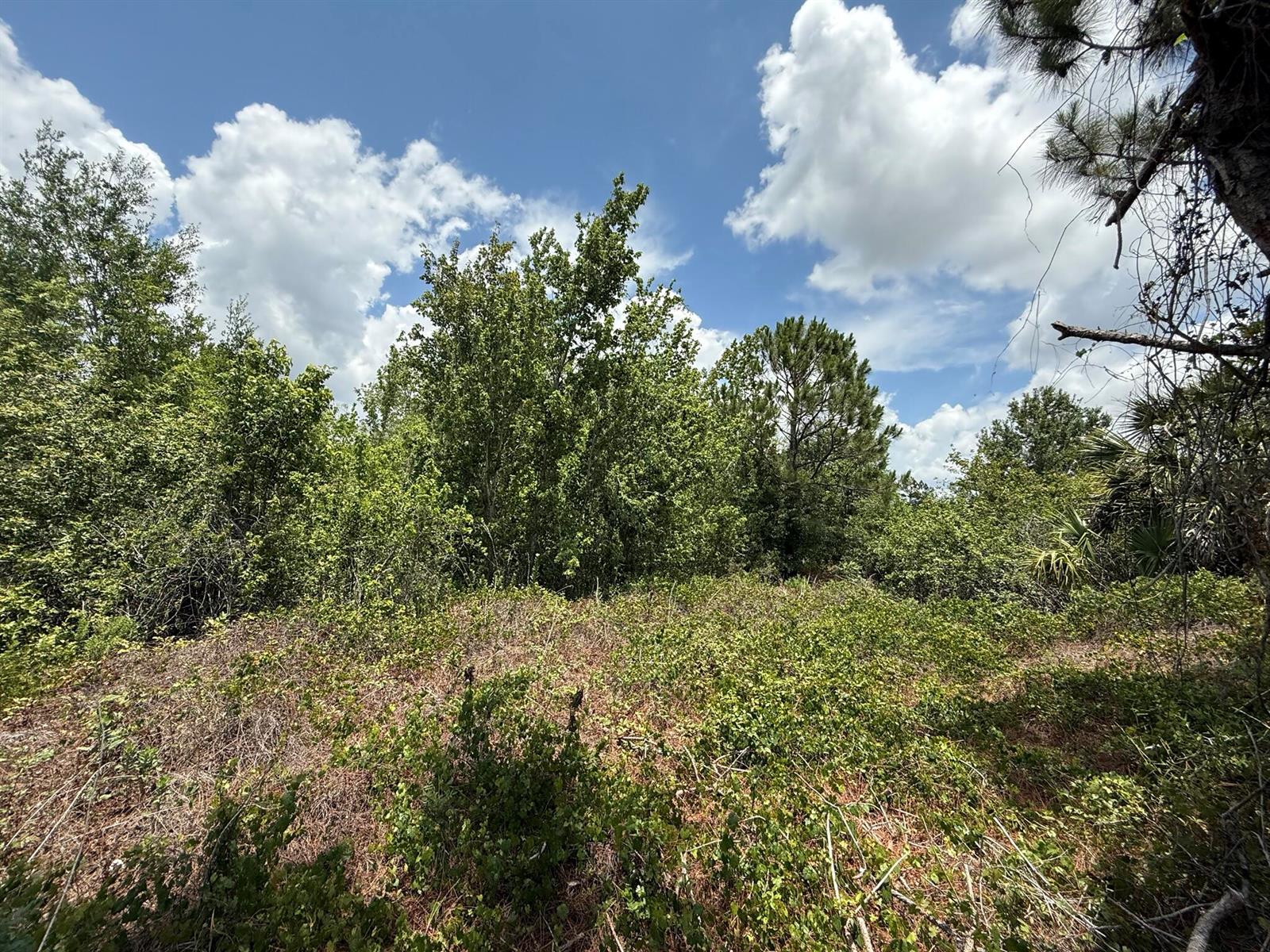 See details / 0 sq. ft. $ 2025-11-14 0 Photo