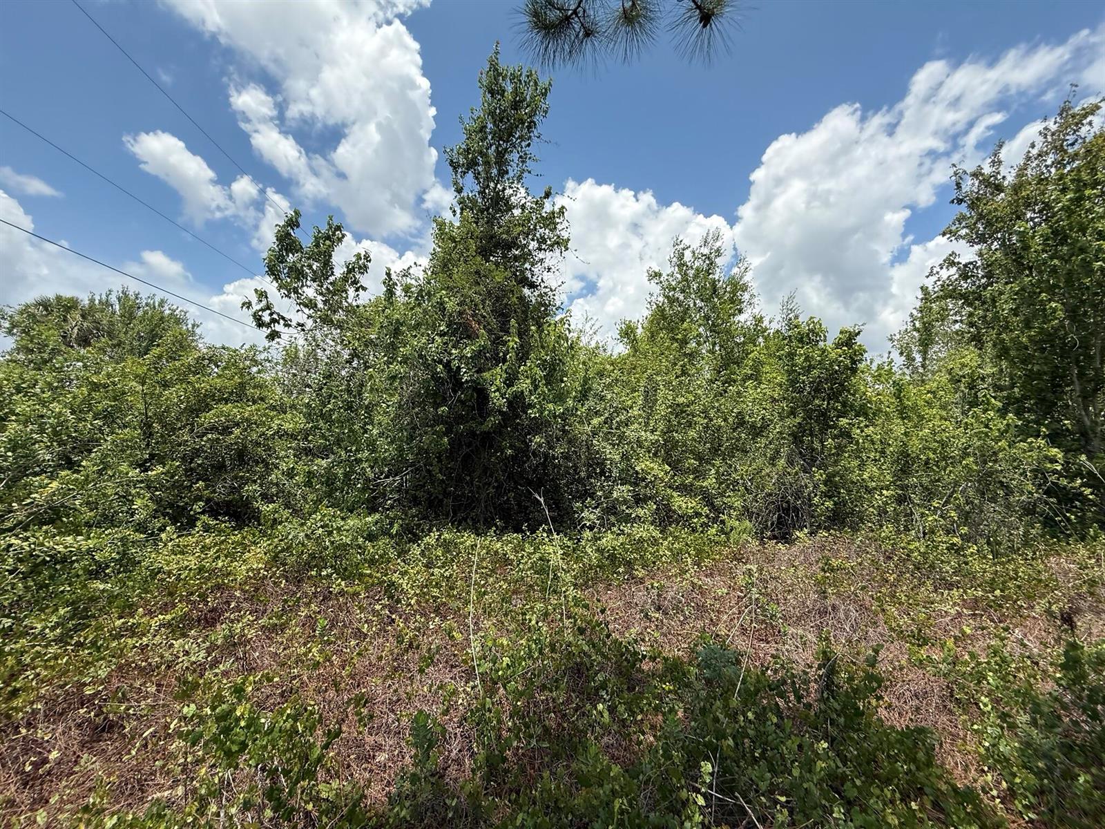 See details / 0 sq. ft. $ 2025-11-14 0 Photo