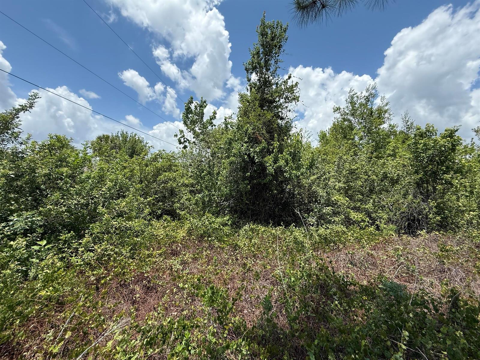 See details / 0 sq. ft. $ 2025-11-14 0 Photo