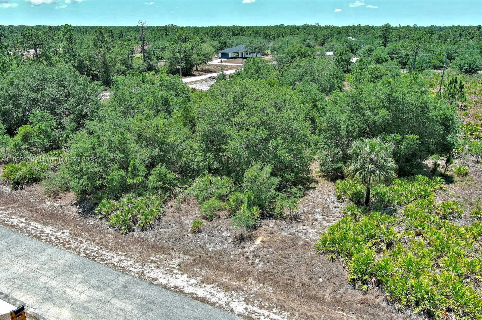 See details / sq. ft. $ 2025-09-04 0 Photo