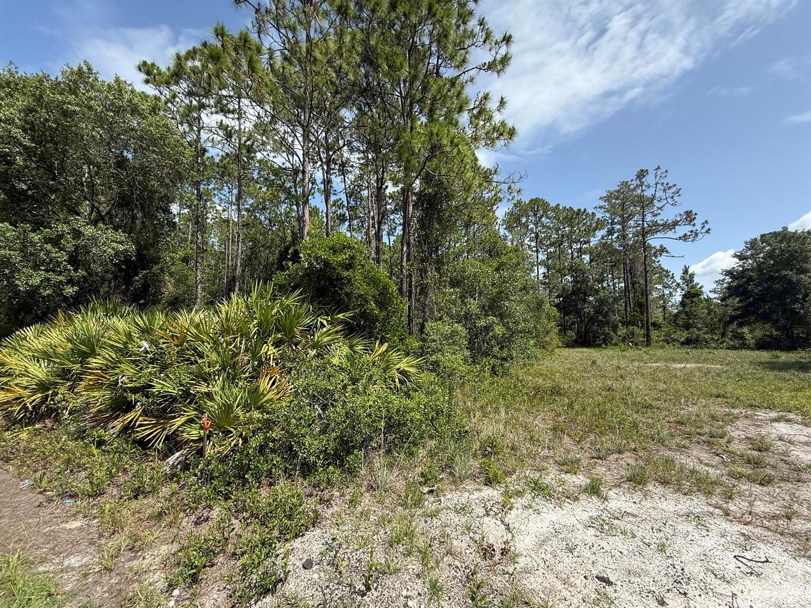 See details / 0 sq. ft. $ 2025-11-18 0 Photo