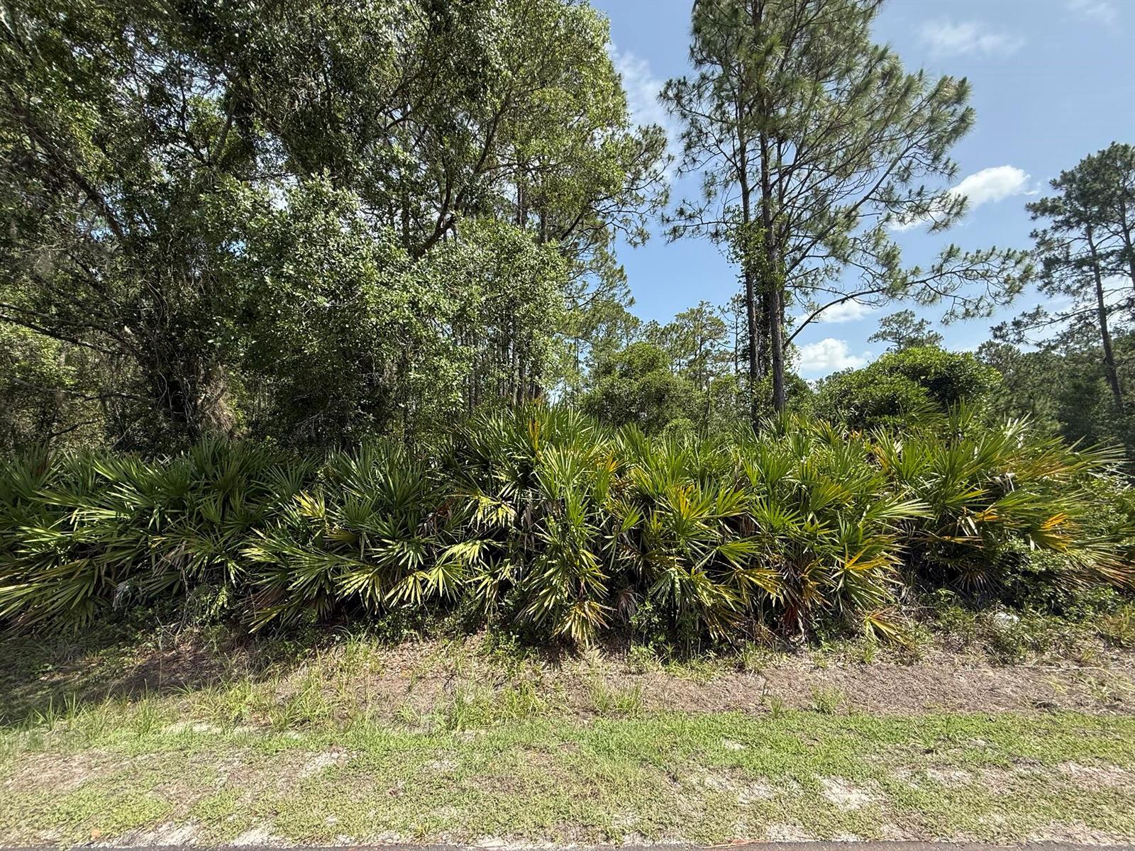 See details / 0 sq. ft. $ 2025-11-18 0 Photo