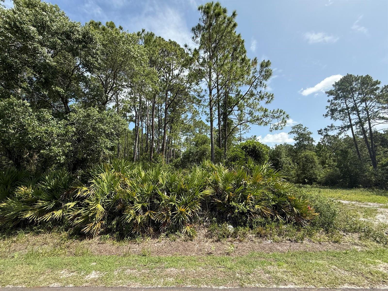 See details / 0 sq. ft. $ 2025-11-18 0 Photo