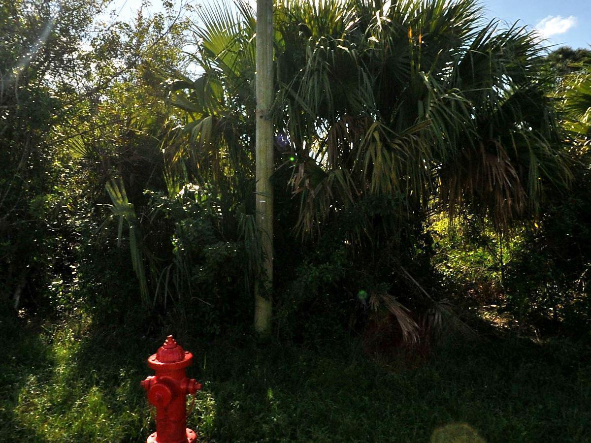   / 0  sq. ft. $ 2026-06-15 0 foto
