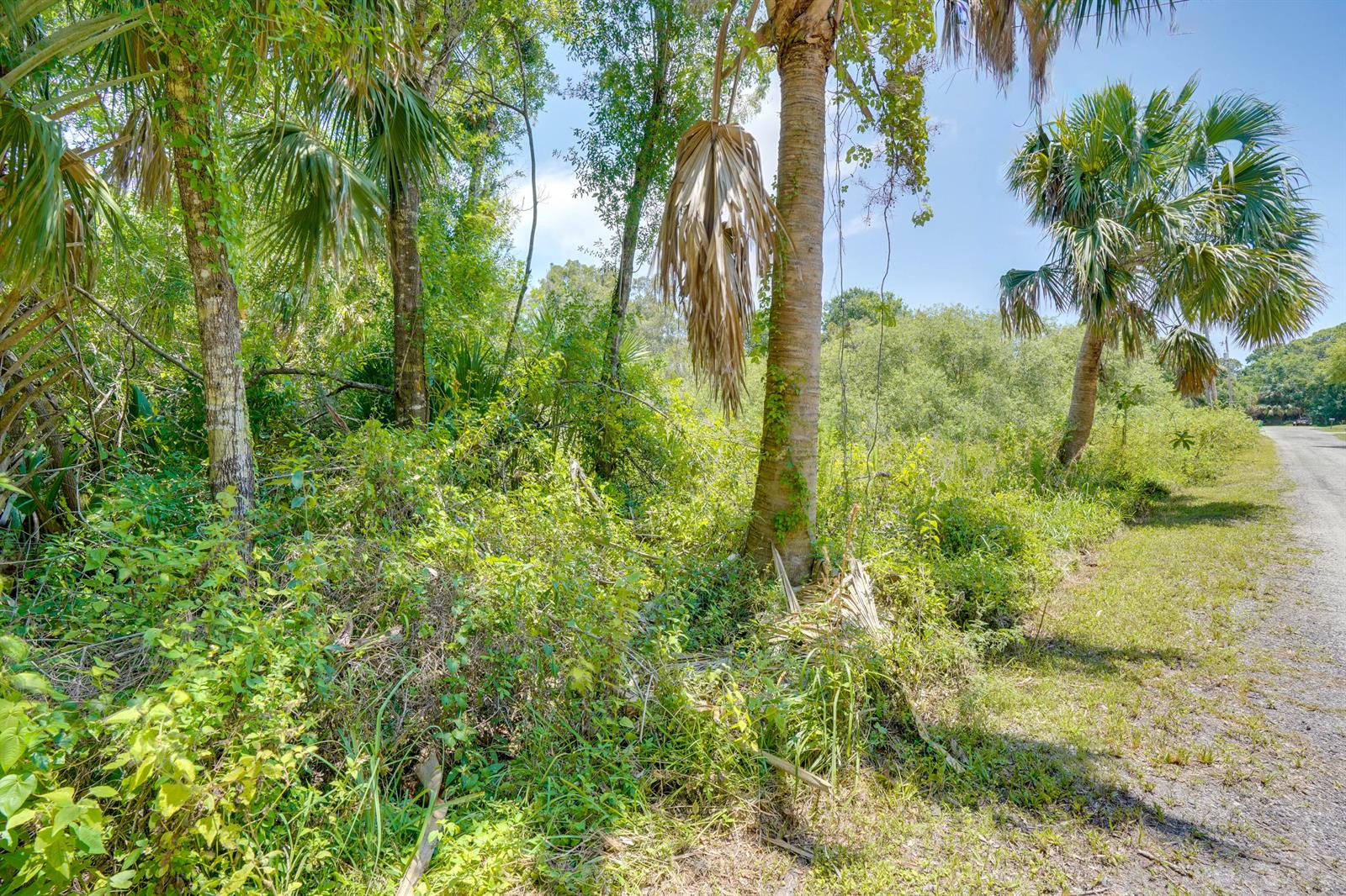   / 0  sq. ft. $ 2026-06-15 0 foto