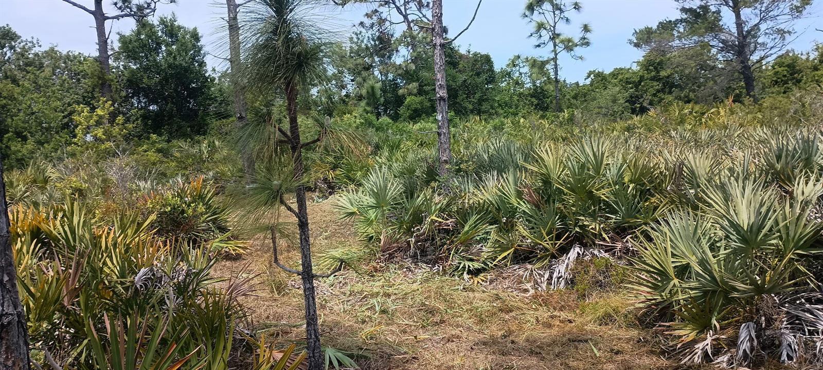   / 0  sq. ft. $ 2026-06-15 0 foto