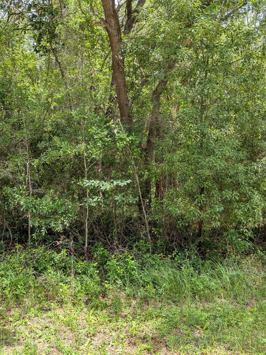   / 0  sq. ft. $ 2026-06-19 0 foto