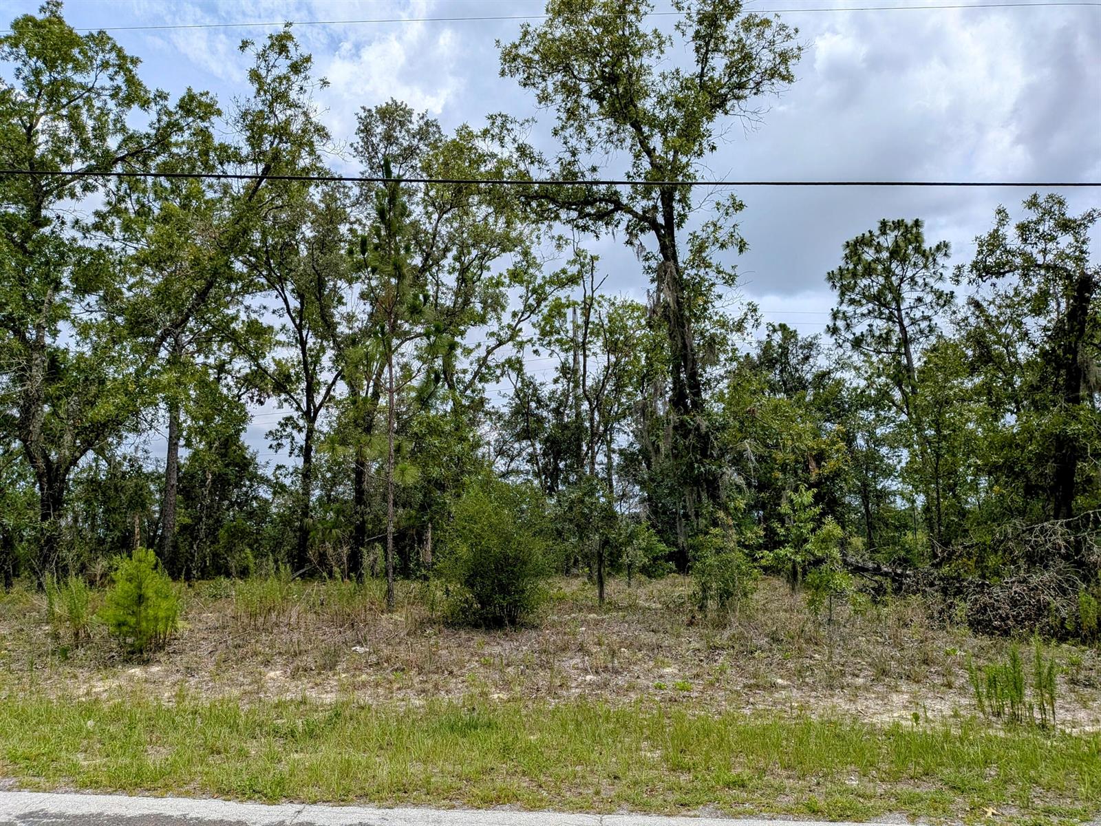   / 0  sq. ft. $ 2026-06-19 0 foto