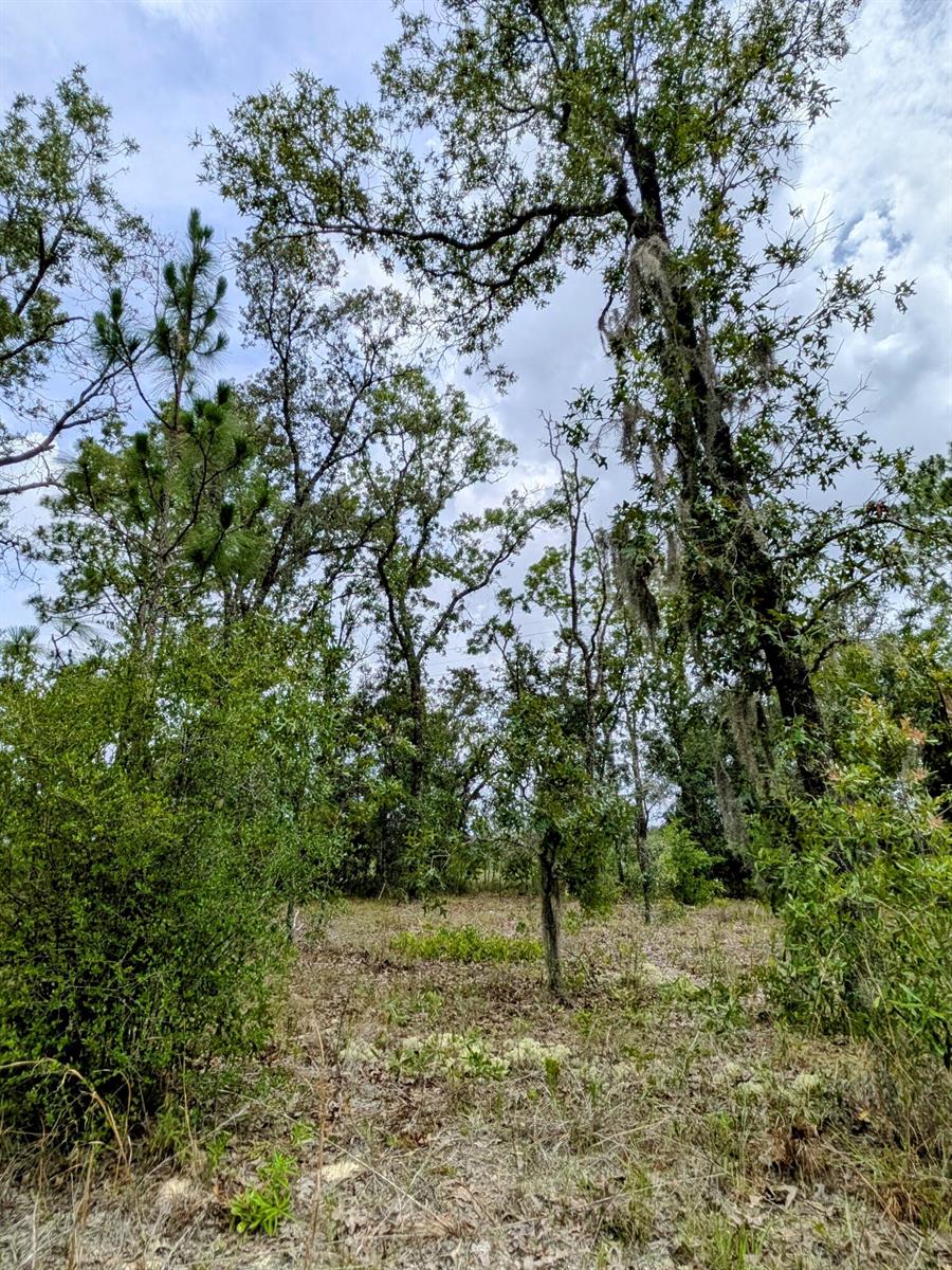   / 0  sq. ft. $ 2026-06-19 0 foto