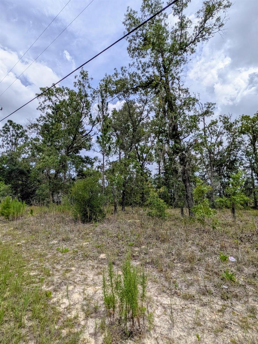   / 0  sq. ft. $ 2026-06-19 0 foto