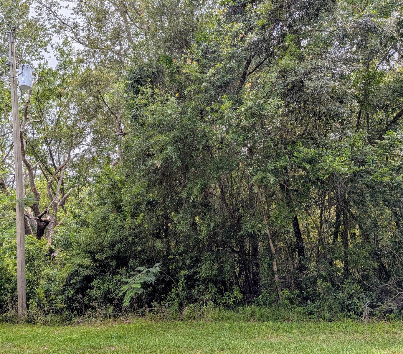   / 0  sq. ft. $ 2026-06-19 0 foto