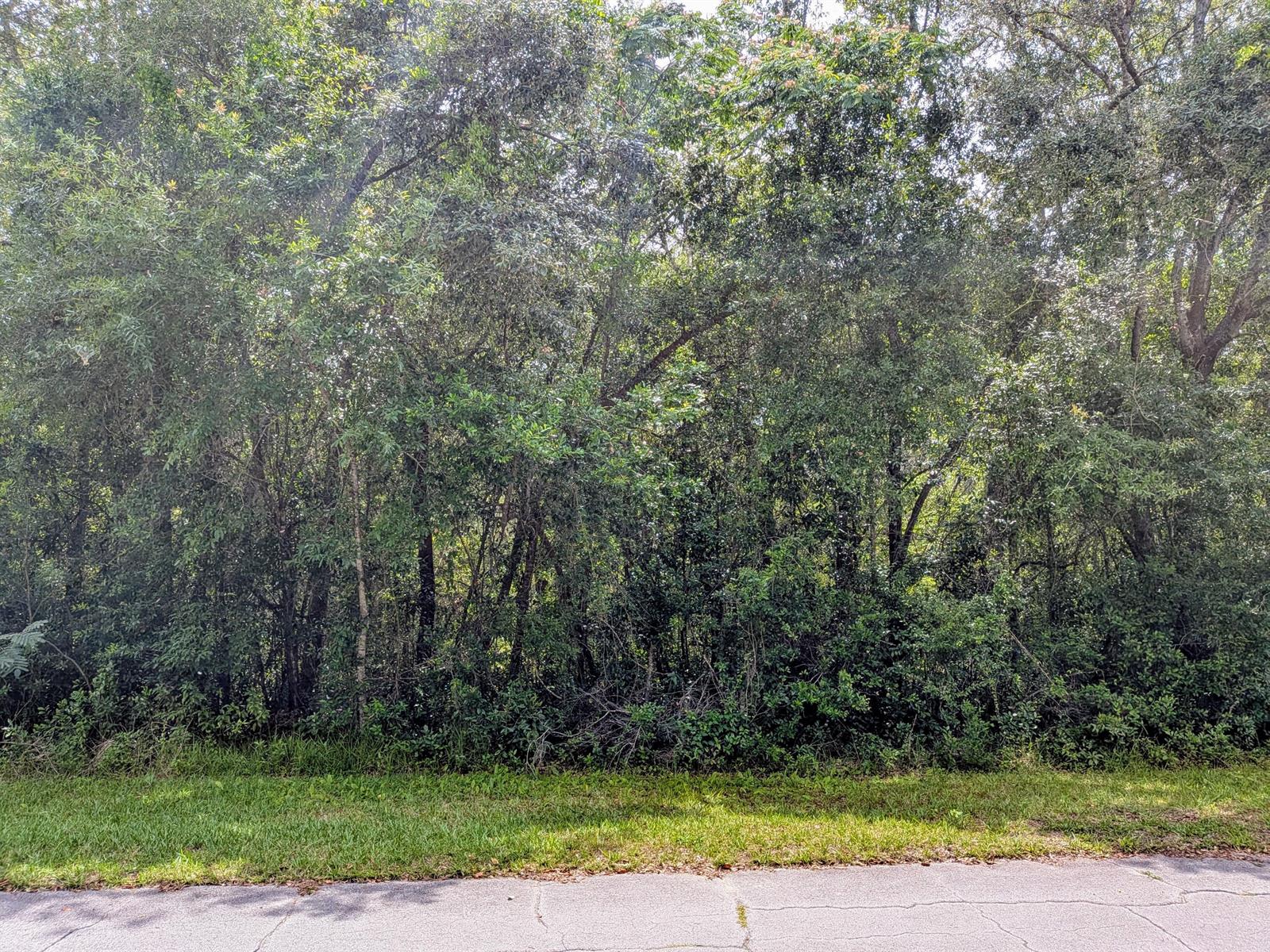   / 0  sq. ft. $ 2026-06-19 0 foto
