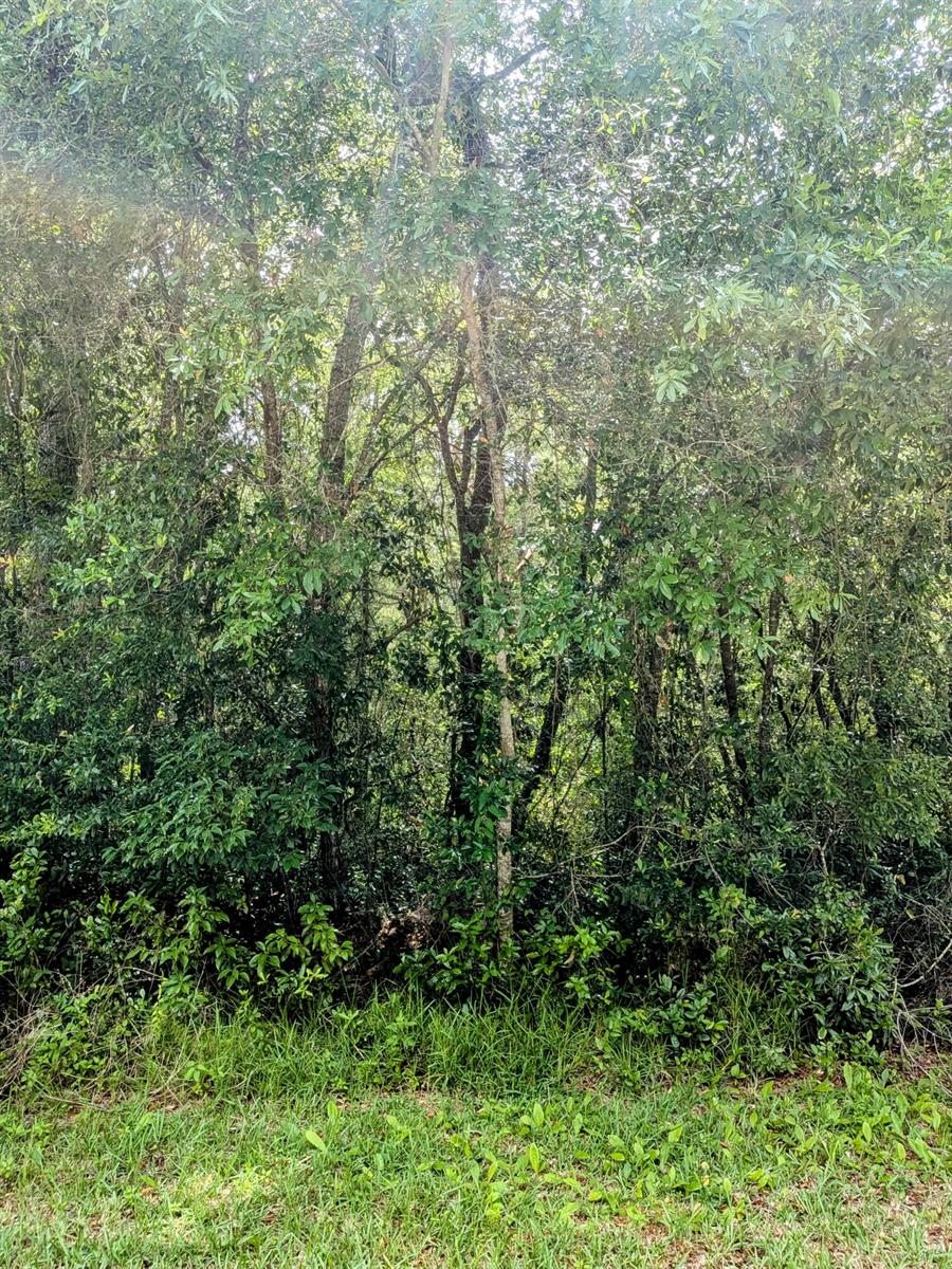   / 0  sq. ft. $ 2026-06-19 0 foto