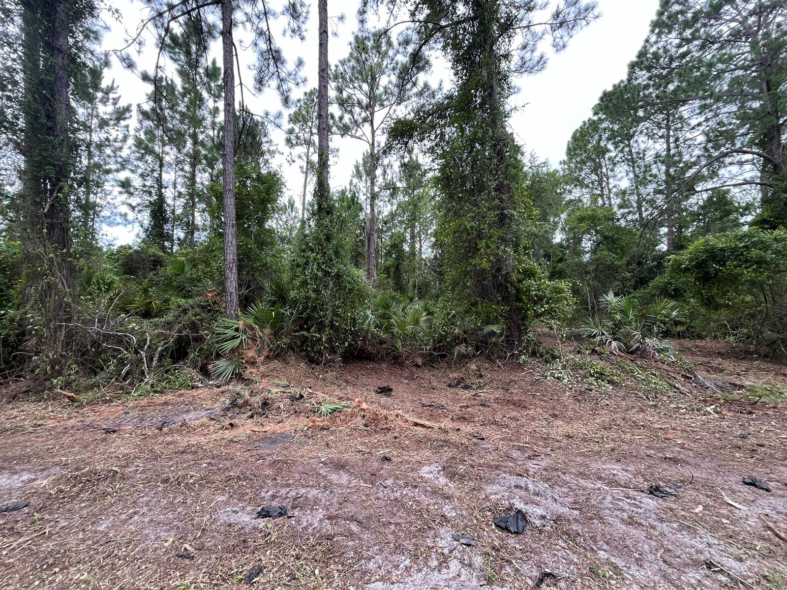   / 0  sq. ft. $ 2025-11-18 0 foto
