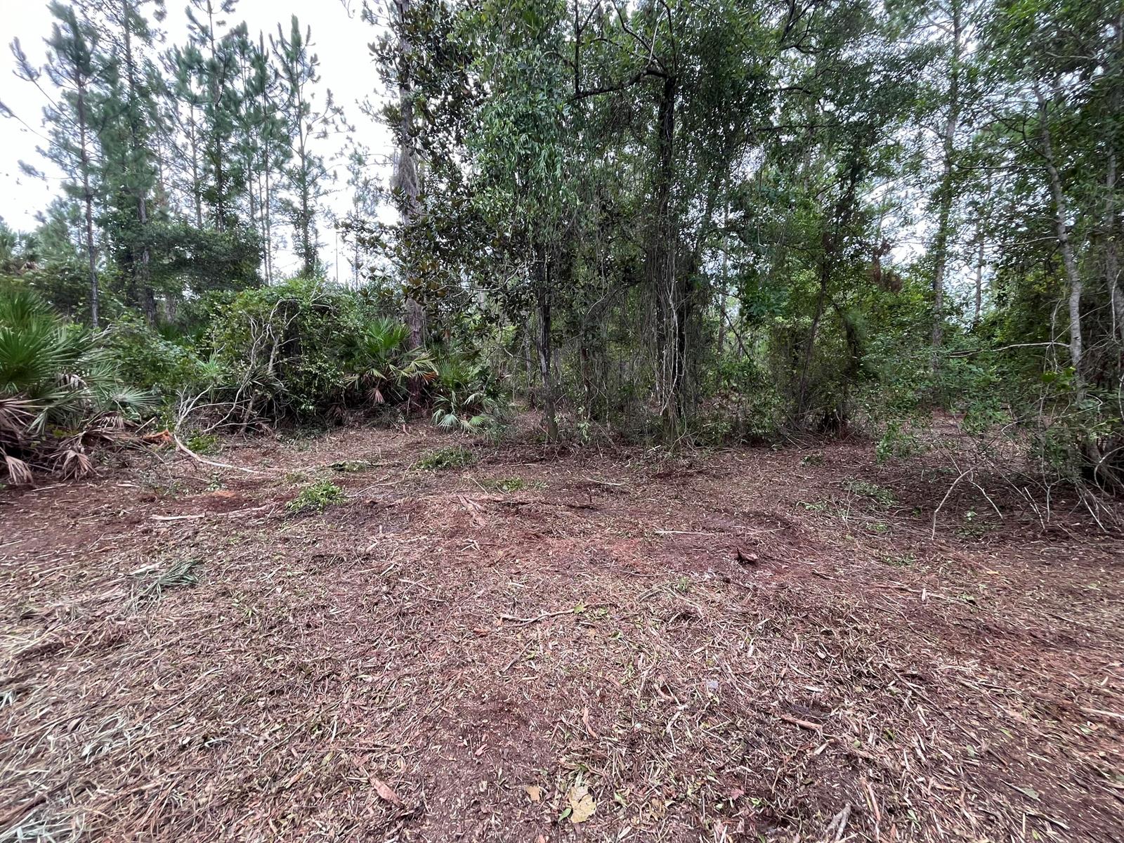   / 0  sq. ft. $ 2025-11-18 0 foto