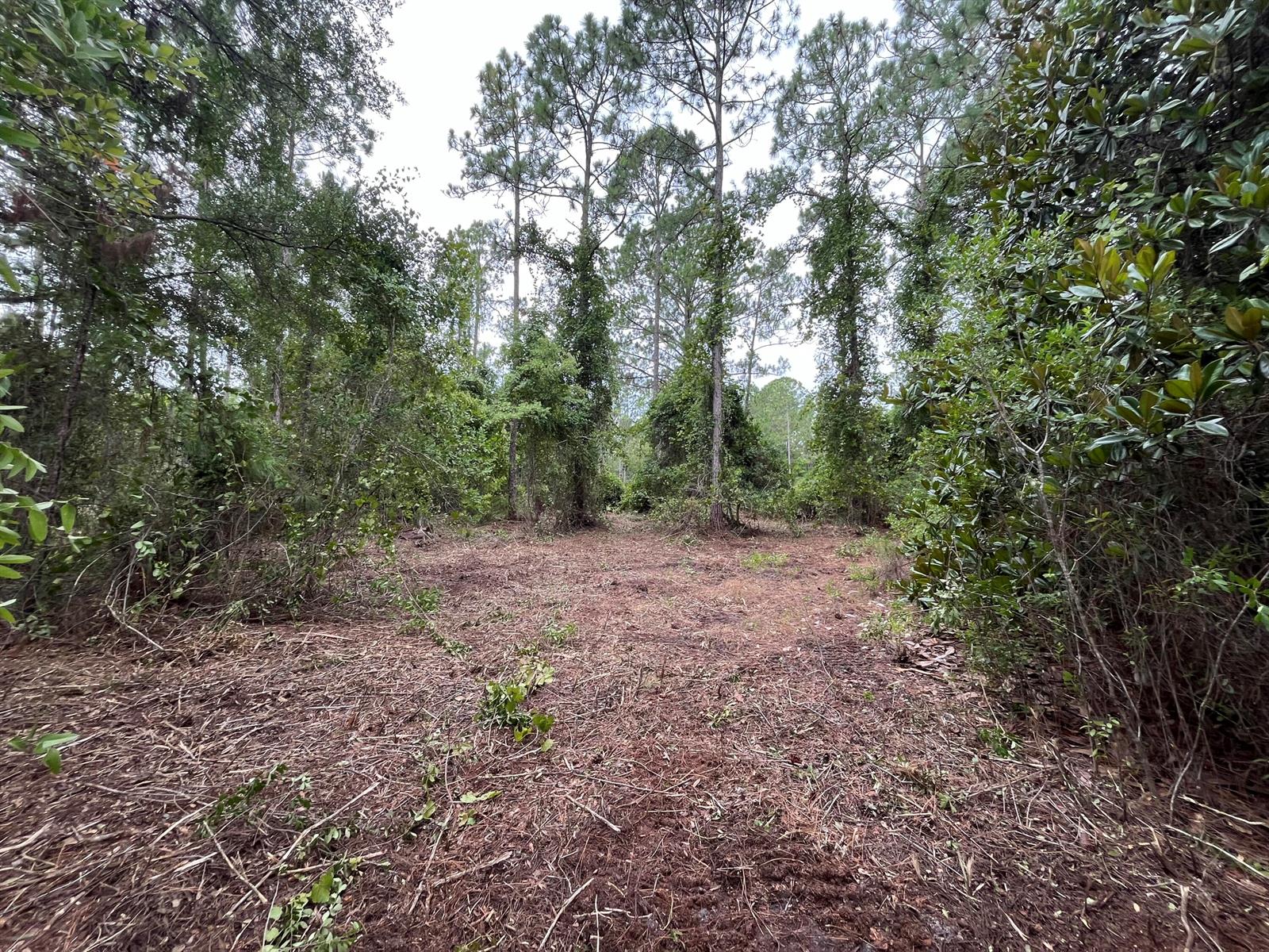   / 0  sq. ft. $ 2025-11-18 0 foto