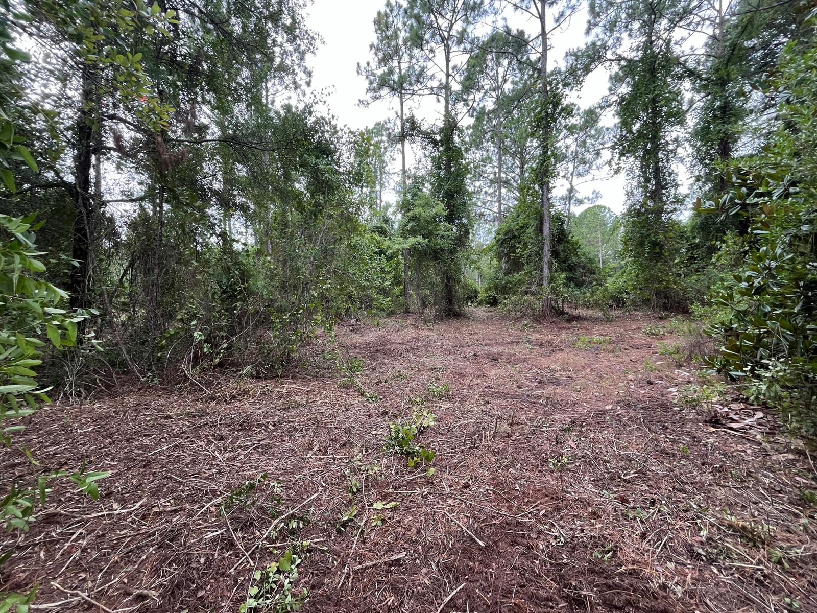   / 0  sq. ft. $ 2025-11-18 0 foto