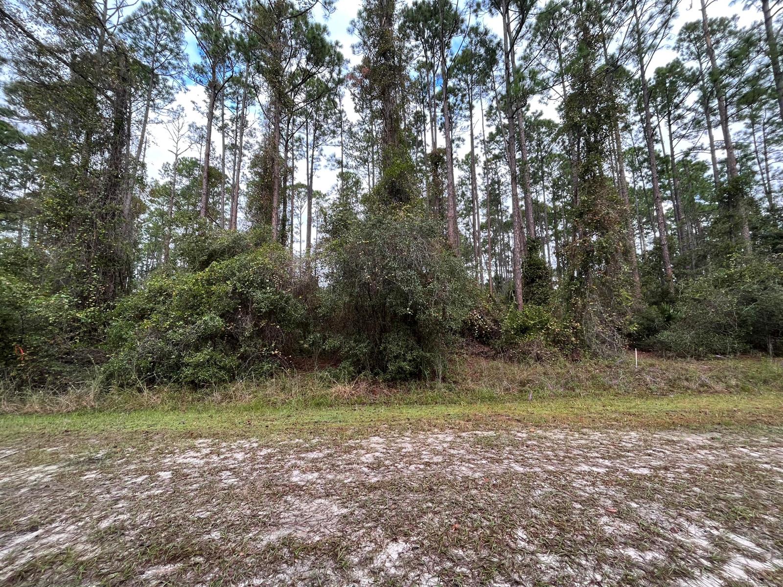   / 0  sq. ft. $ 2025-11-18 0 Photo
