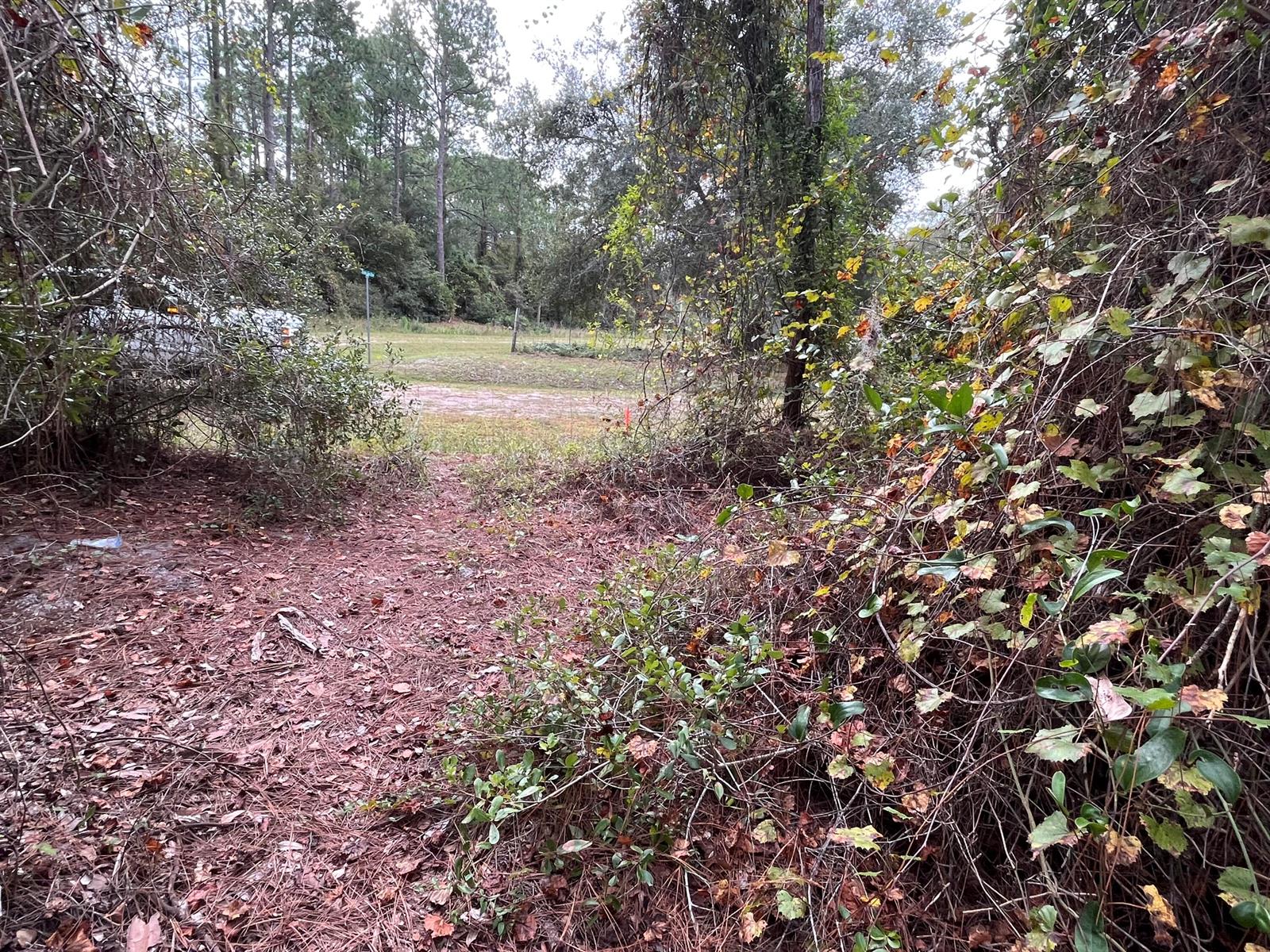   / 0  sq. ft. $ 2025-11-18 0 Photo