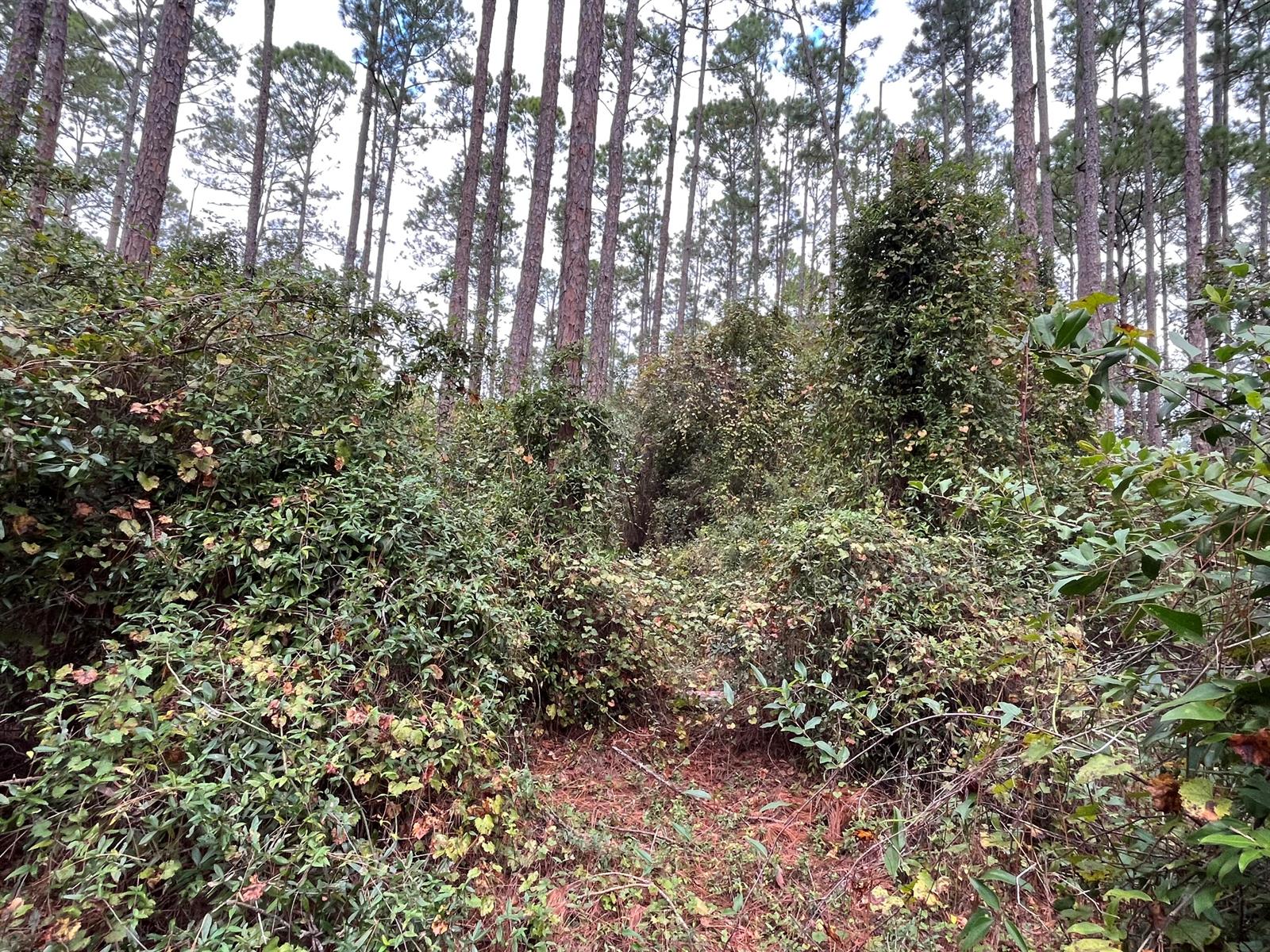   / 0  sq. ft. $ 2025-11-18 0 Photo