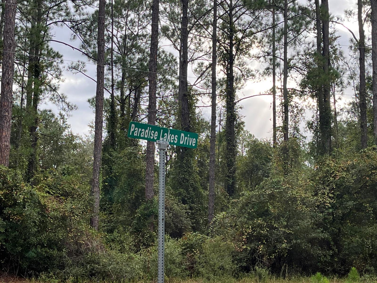   / 0  sq. ft. $ 2025-11-18 0 Photo