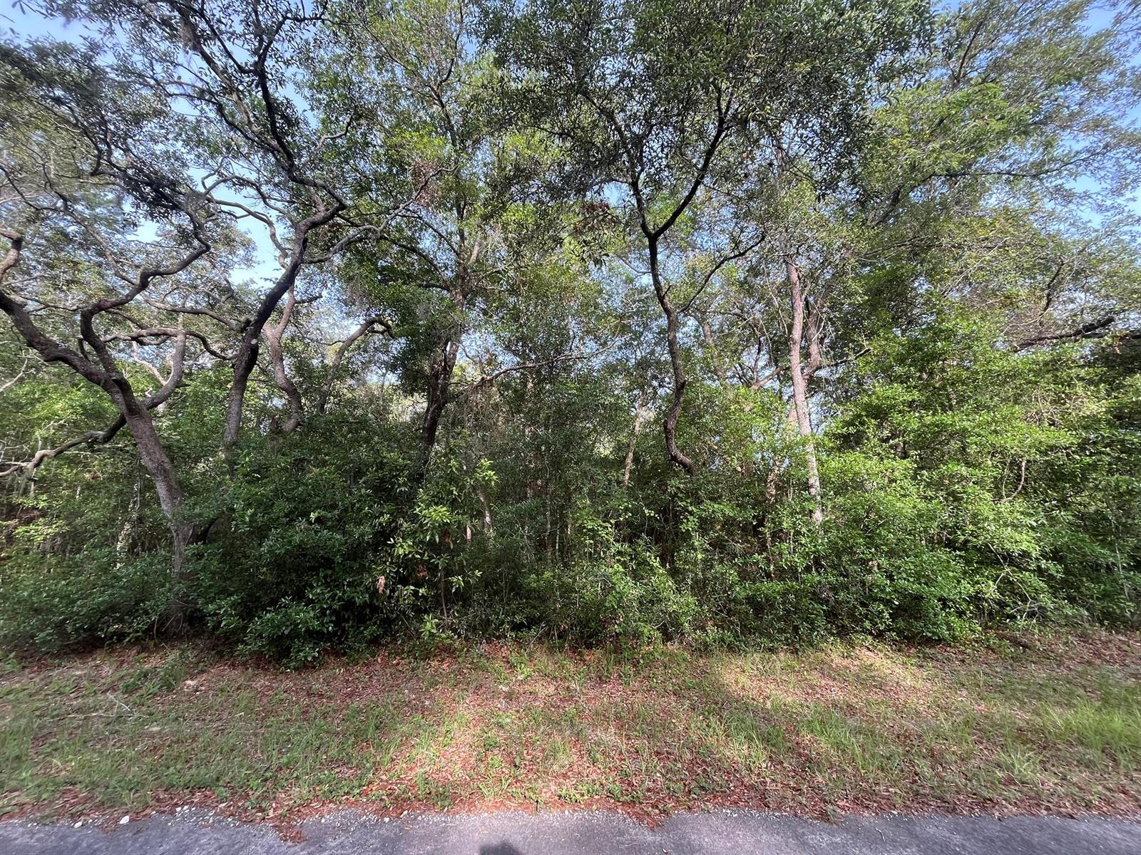   / 0  sq. ft. $ 2025-11-18 0 foto