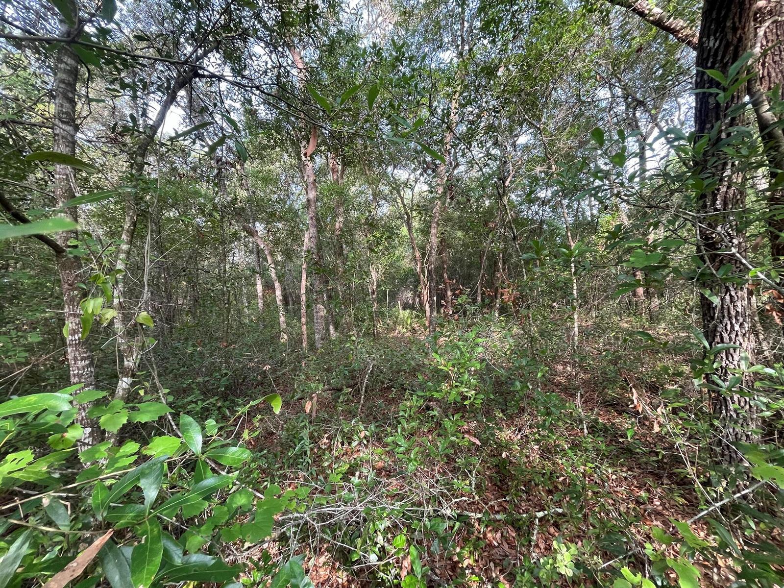   / 0  sq. ft. $ 2025-11-18 0 foto