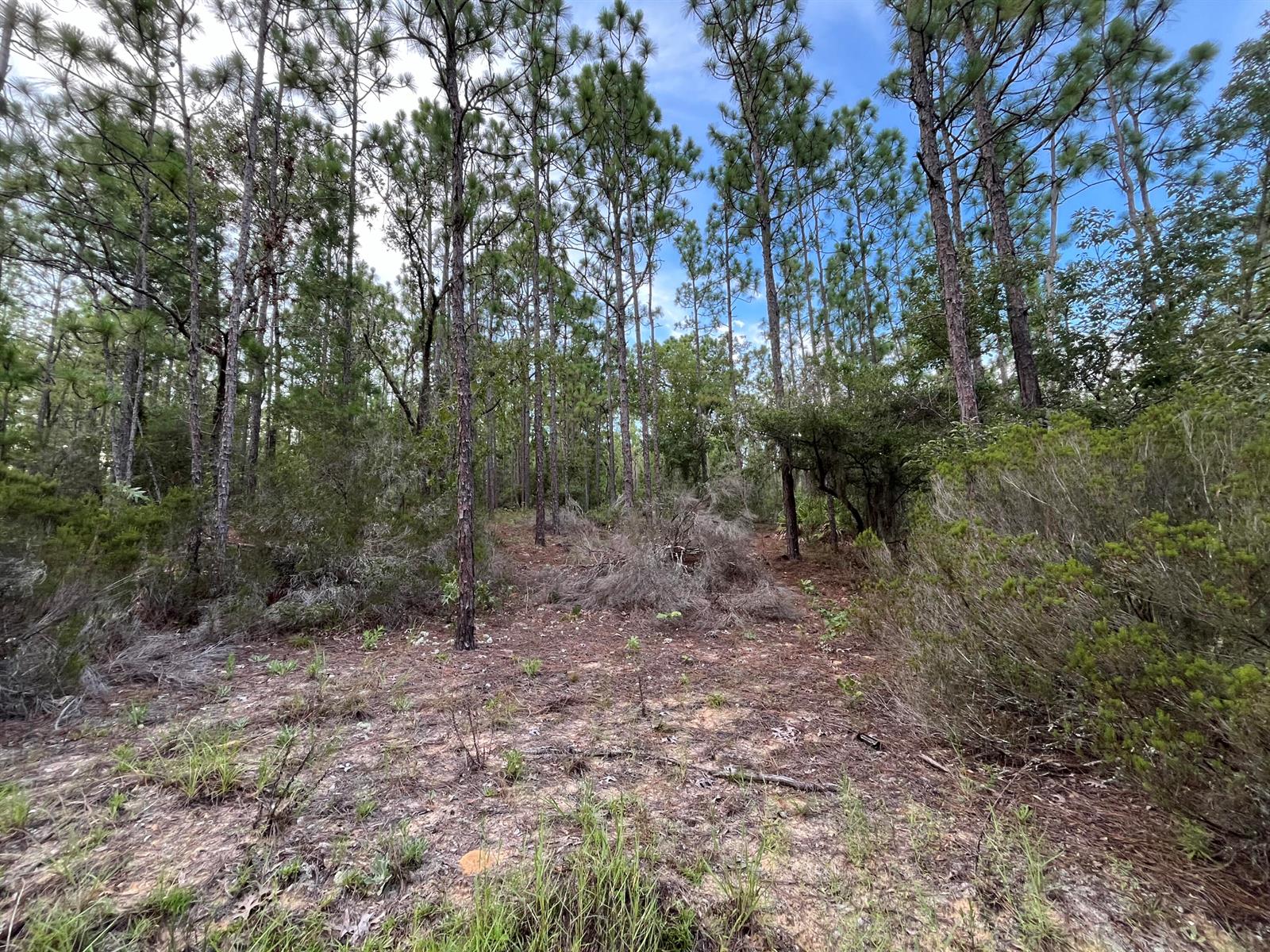 See details / 0 sq. ft. $ 2025-11-18 0 Photo