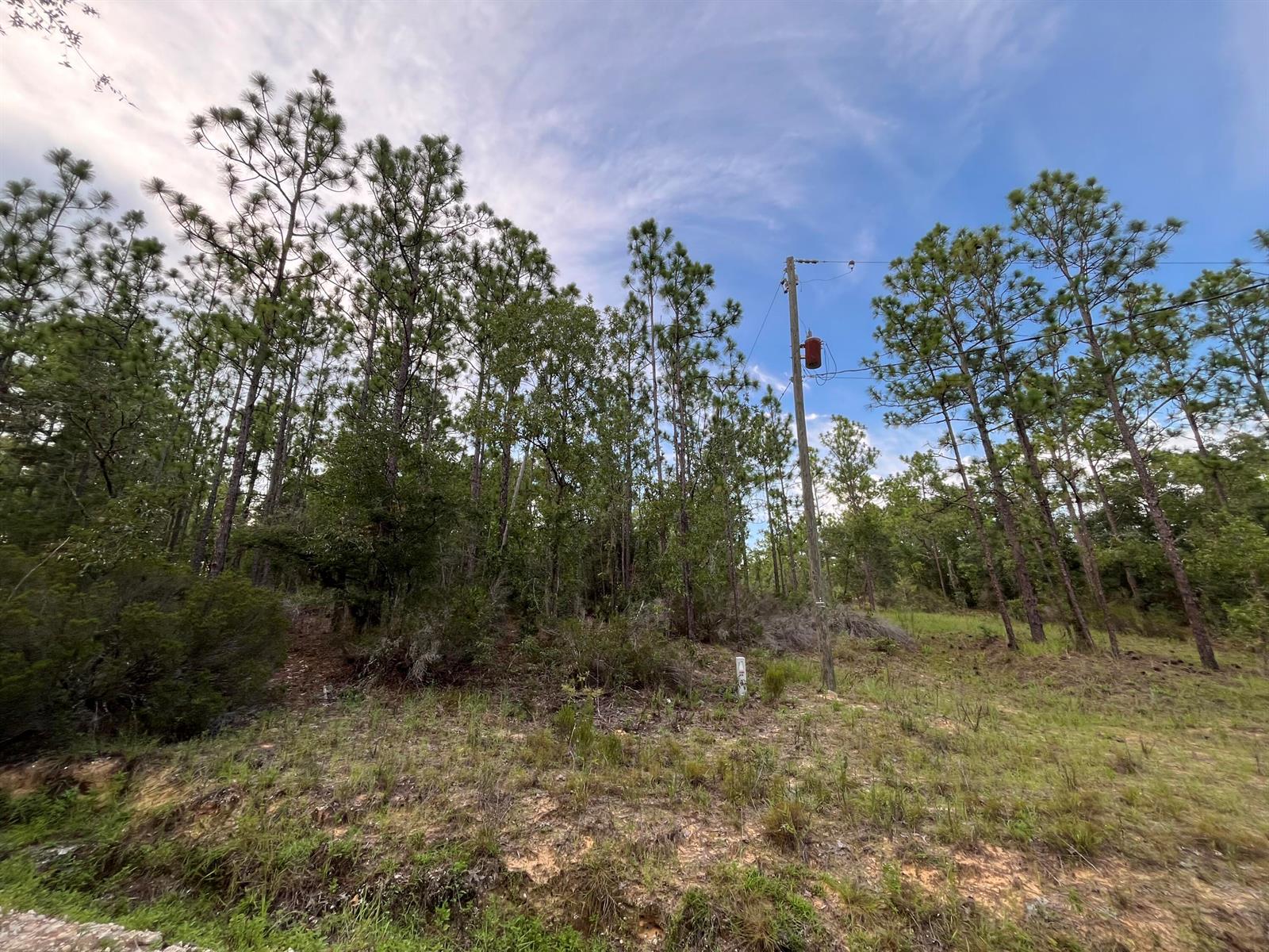 See details / 0 sq. ft. $ 2025-11-18 0 Photo