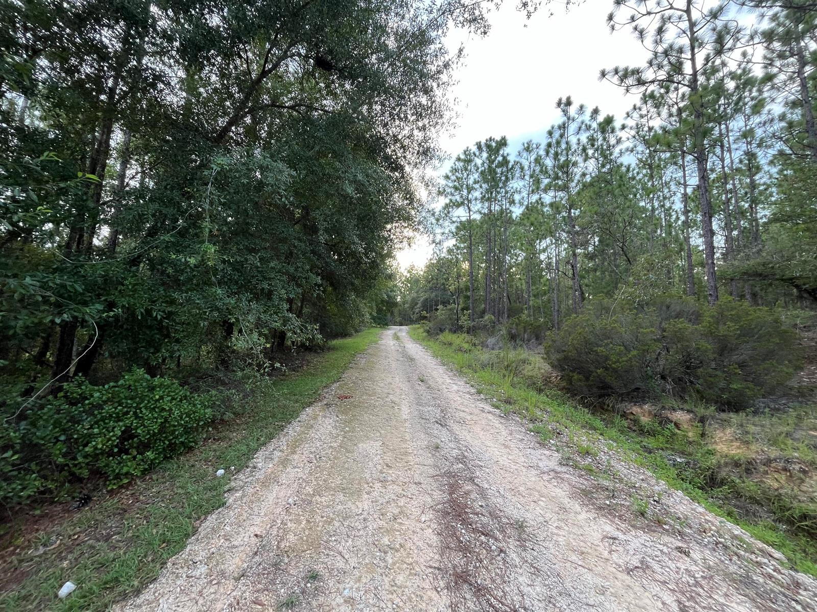 See details / 0 sq. ft. $ 2025-11-18 0 Photo