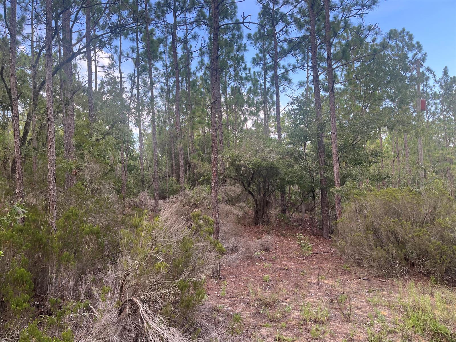 See details / 0 sq. ft. $ 2025-11-18 0 Photo