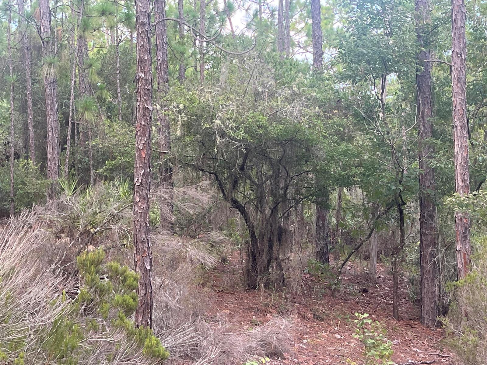 See details / 0 sq. ft. $ 2025-11-18 0 Photo