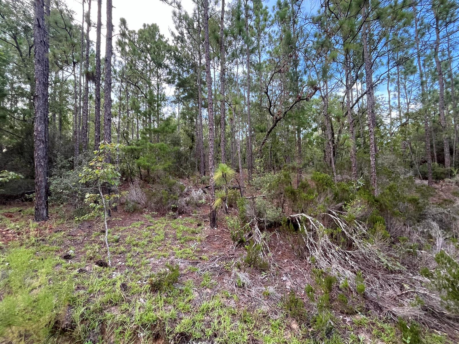 See details / 0 sq. ft. $ 2025-11-18 0 Photo