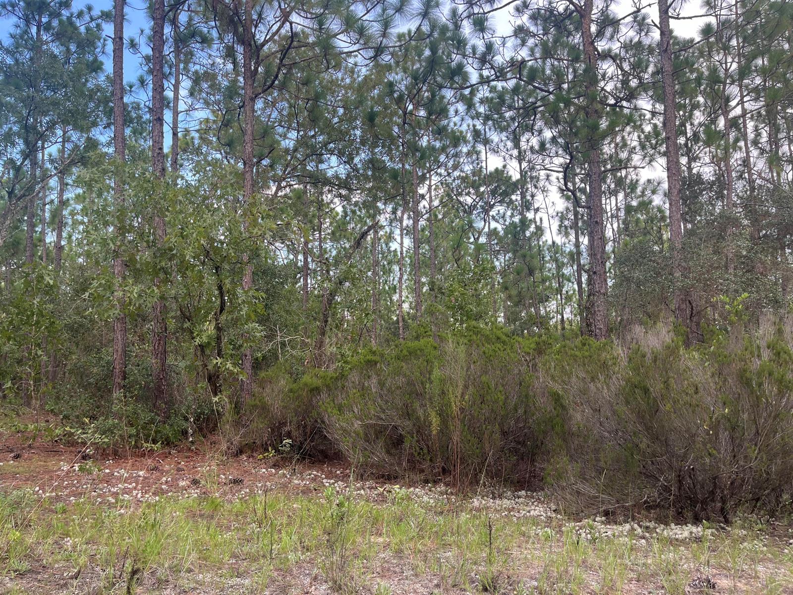 See details / 0 sq. ft. $ 2025-11-18 0 Photo