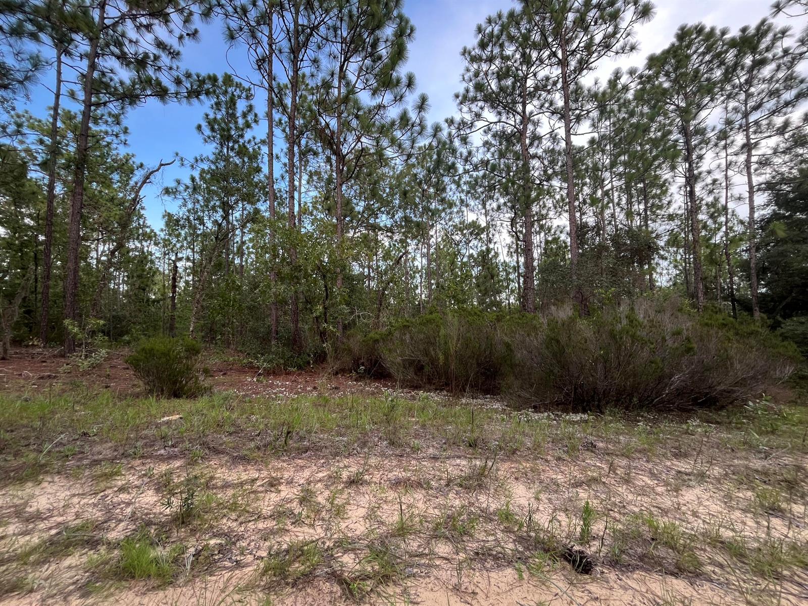 See details / 0 sq. ft. $ 2025-11-18 0 Photo