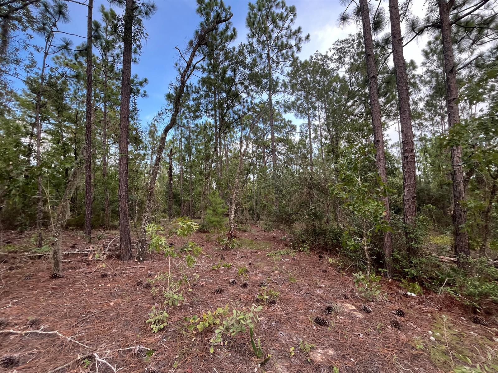 See details / 0 sq. ft. $ 2025-11-18 0 Photo