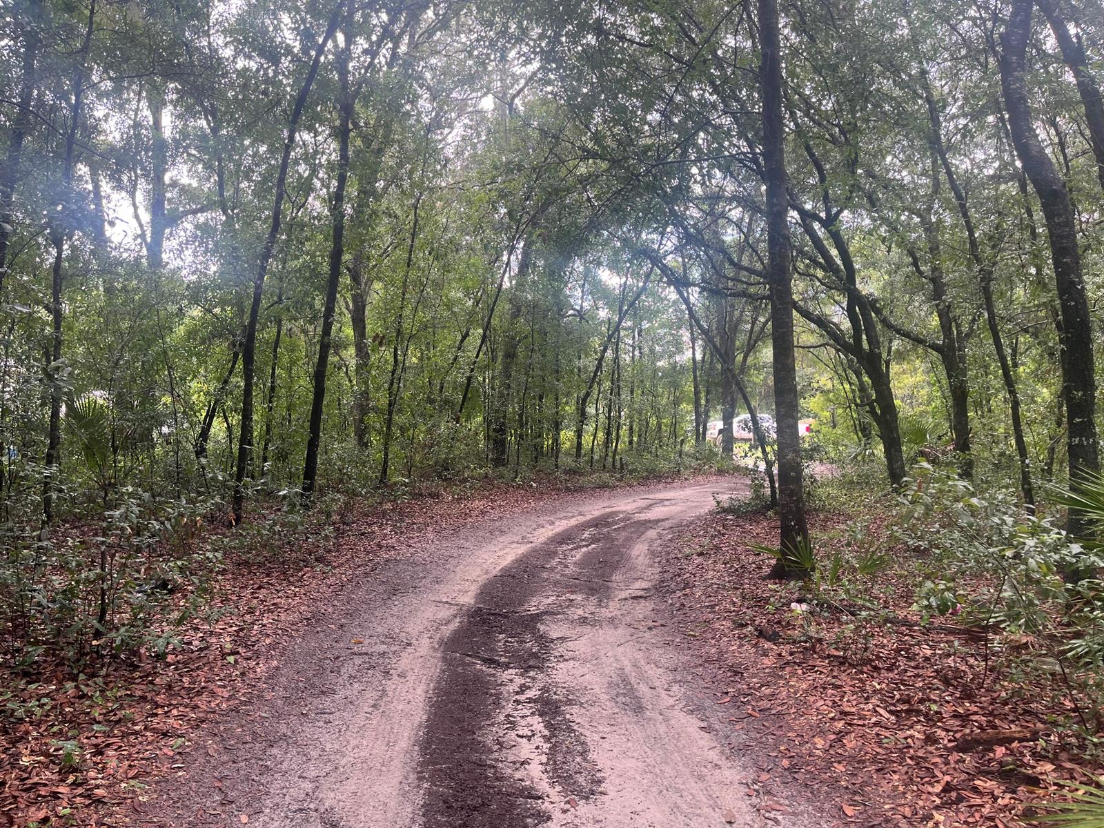   / 0  sq. ft. $ 2025-11-18 0 Photo