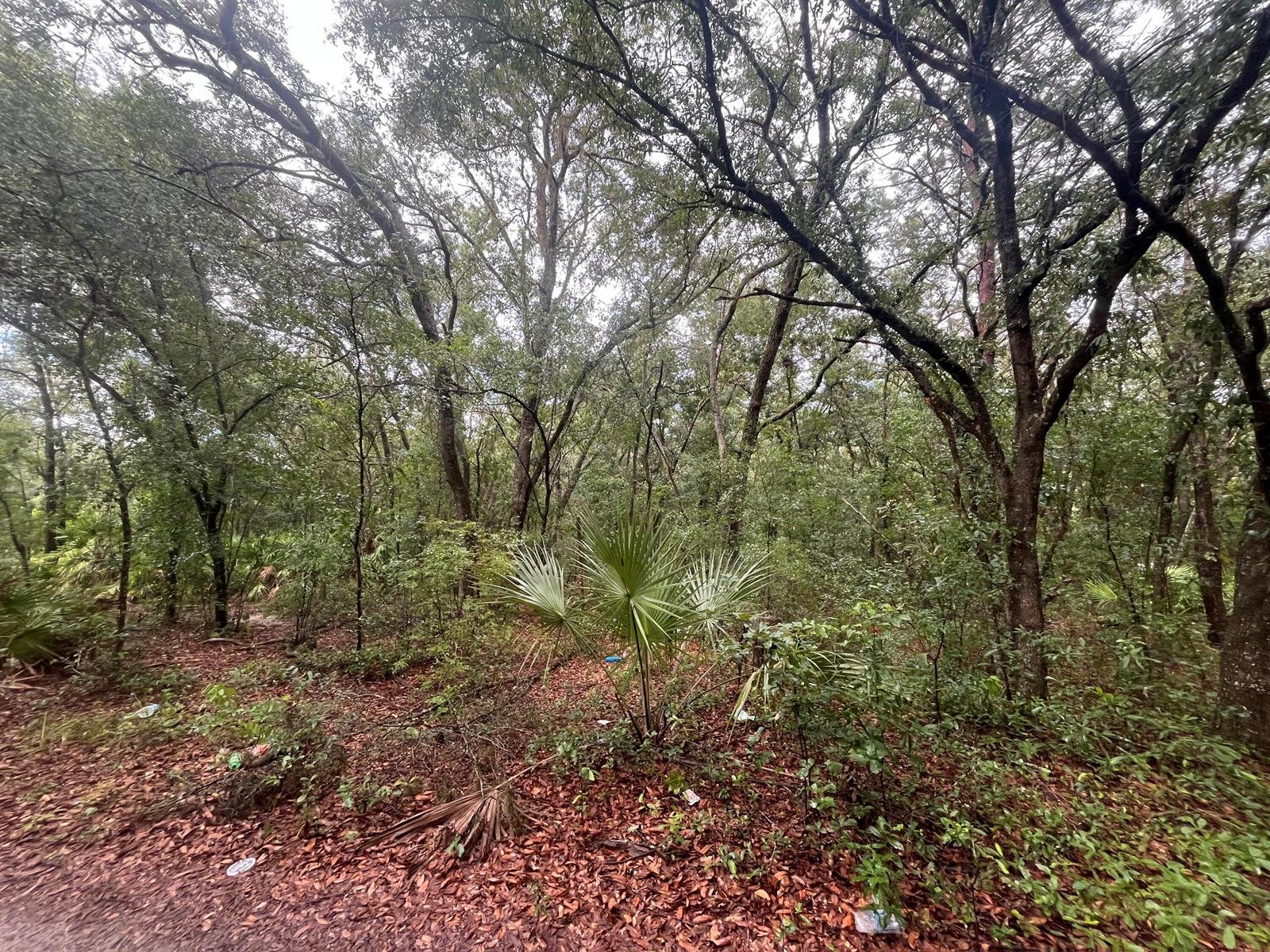   / 0  sq. ft. $ 2025-11-18 0 Photo