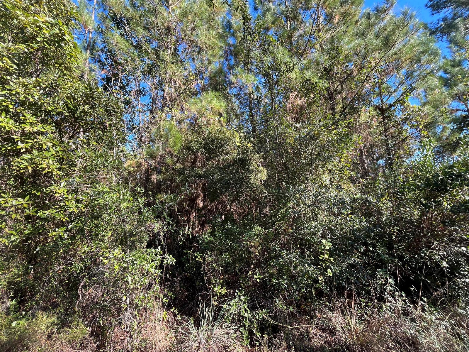   / 0  sq. ft. $ 2025-11-19 0 foto