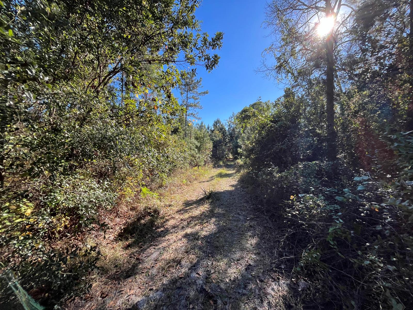   / 0  sq. ft. $ 2025-11-19 0 foto