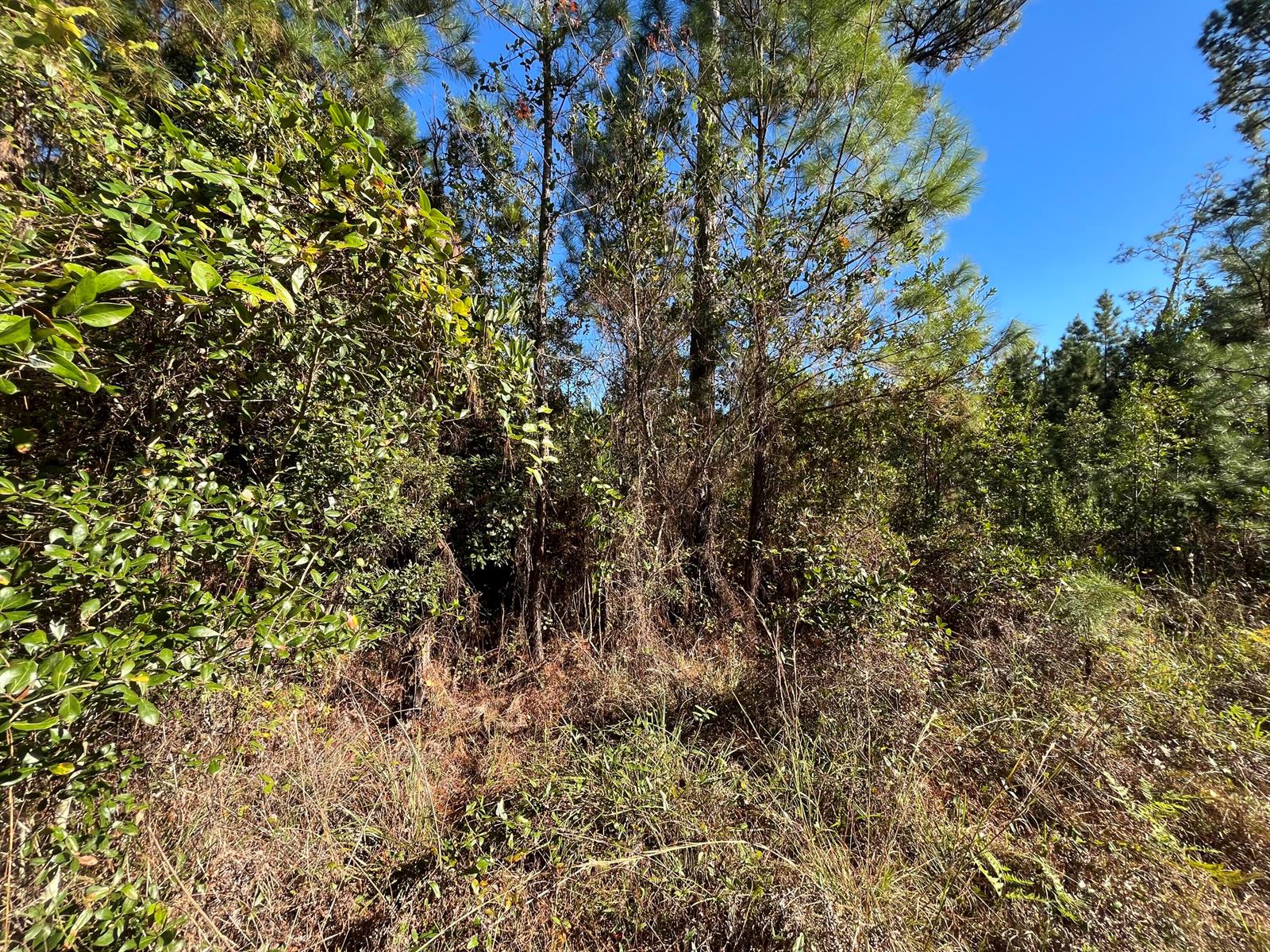   / 0  sq. ft. $ 2025-11-19 0 foto