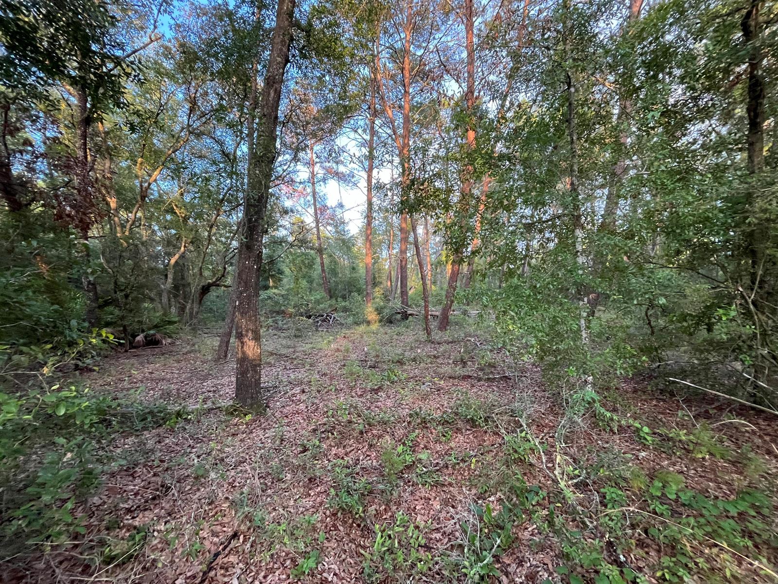   / 0  sq. ft. $ 2025-11-18 0 foto