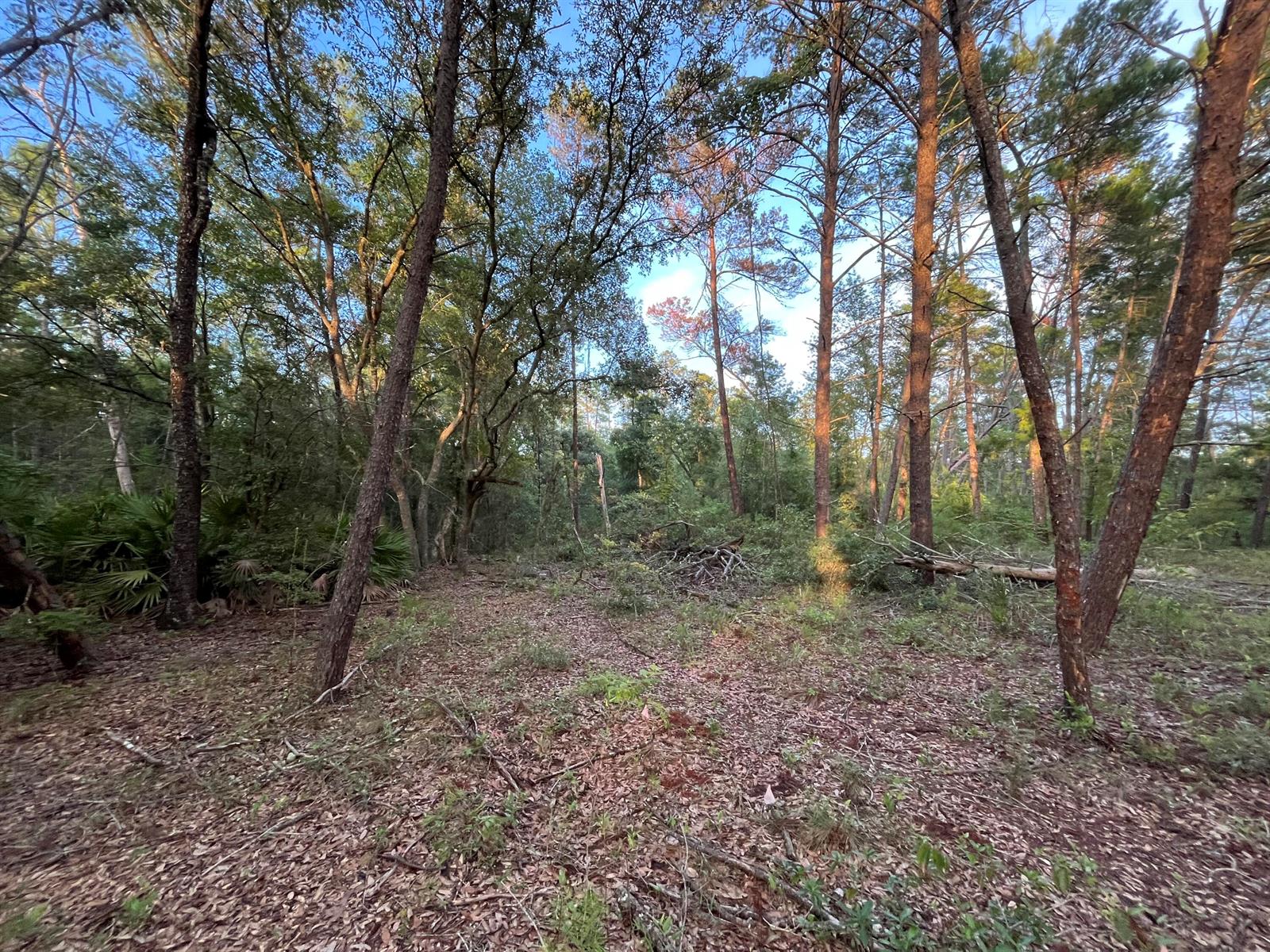   / 0  sq. ft. $ 2025-11-18 0 foto